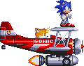 Sonic and Tails in Tails plane